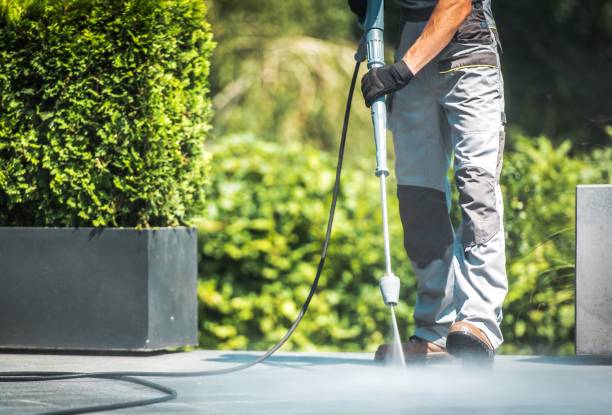 Best Animal Enclosure Cleaning  in Clover, SC