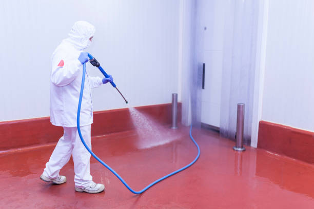 Best Playground Equipment Cleaning  in Clover, SC